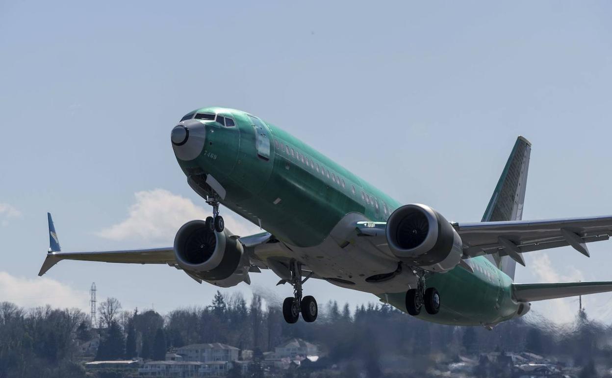 El aparato era un Boeing 737. 