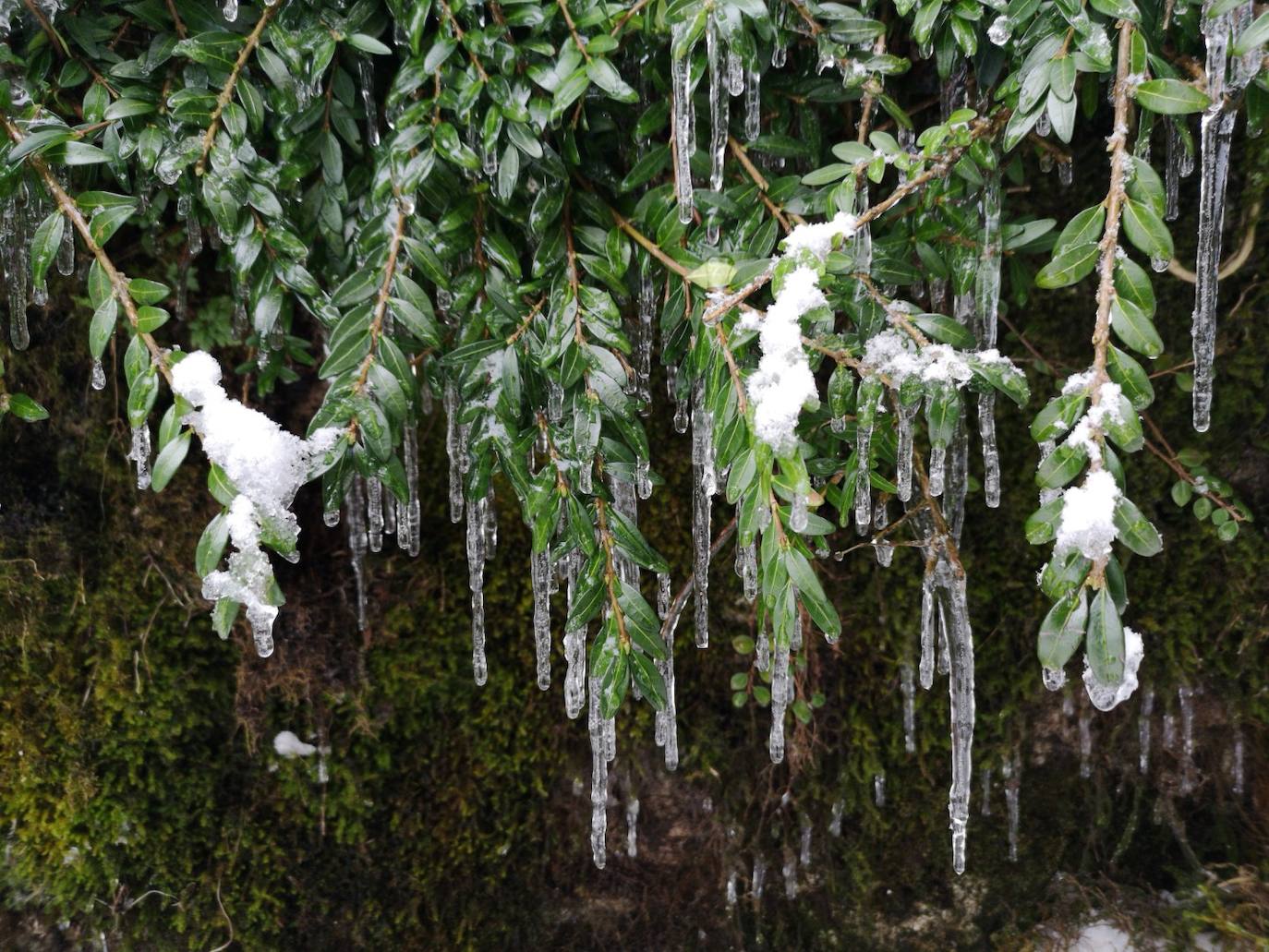 Fotos: Hallstatt, invasión en el mundo 'Frozen'