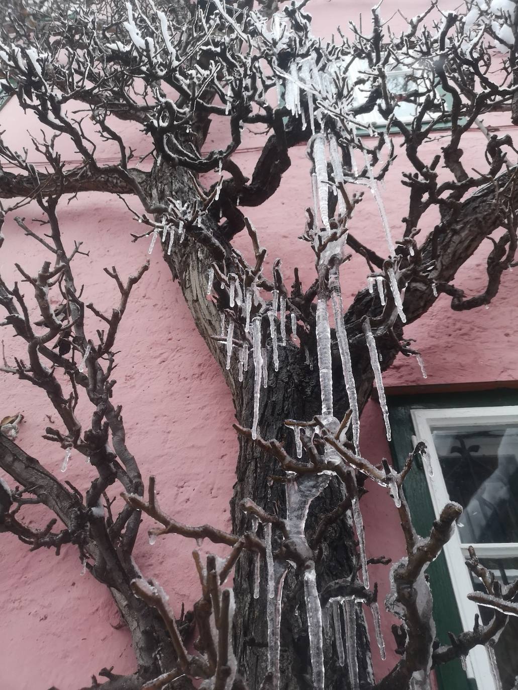 Fotos: Hallstatt, invasión en el mundo 'Frozen'