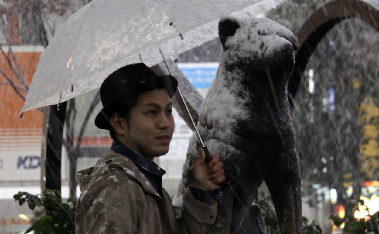 Hachiko txakurraren estatua, Shibuyako tren geltokiaren aurreko plazan. 