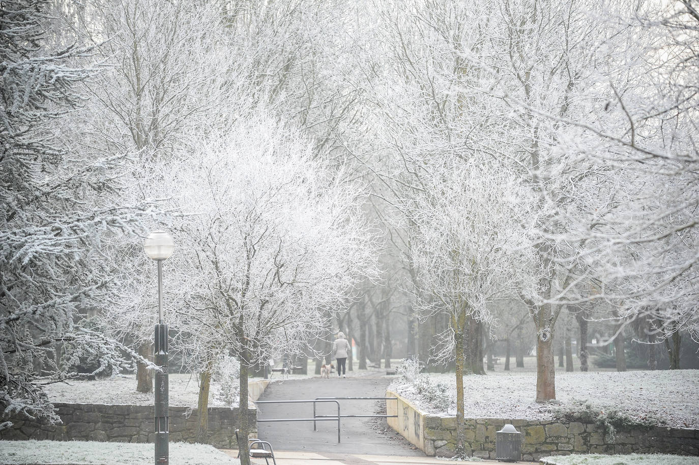 Fotos: Alava amanece de nuevo con heladas