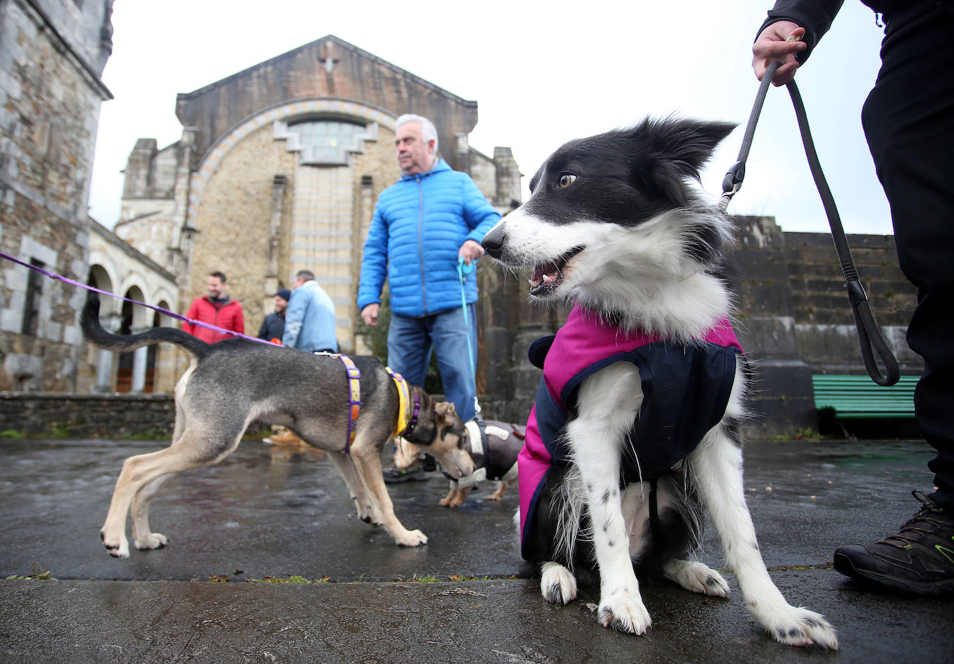 Numerosos fieles acudieron a Urkiola en el día de San Antonio para bendecir a sus mascotas.