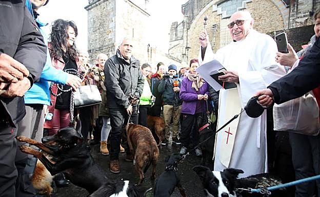 El cura bendice a los perros que asistieron a Urkiola.