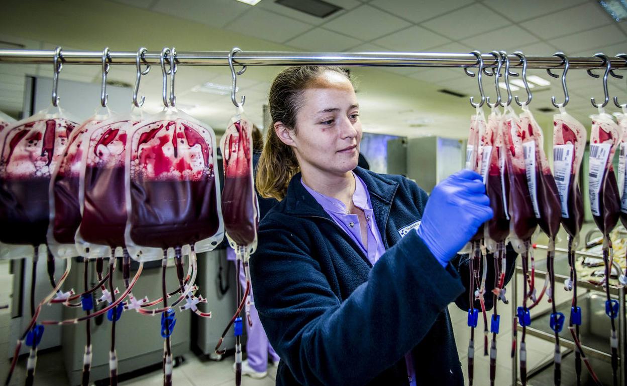 Una trabajadora revisa las unidades de glóbulos rojos en las instalaciones del Centro Vasco de Transfusión