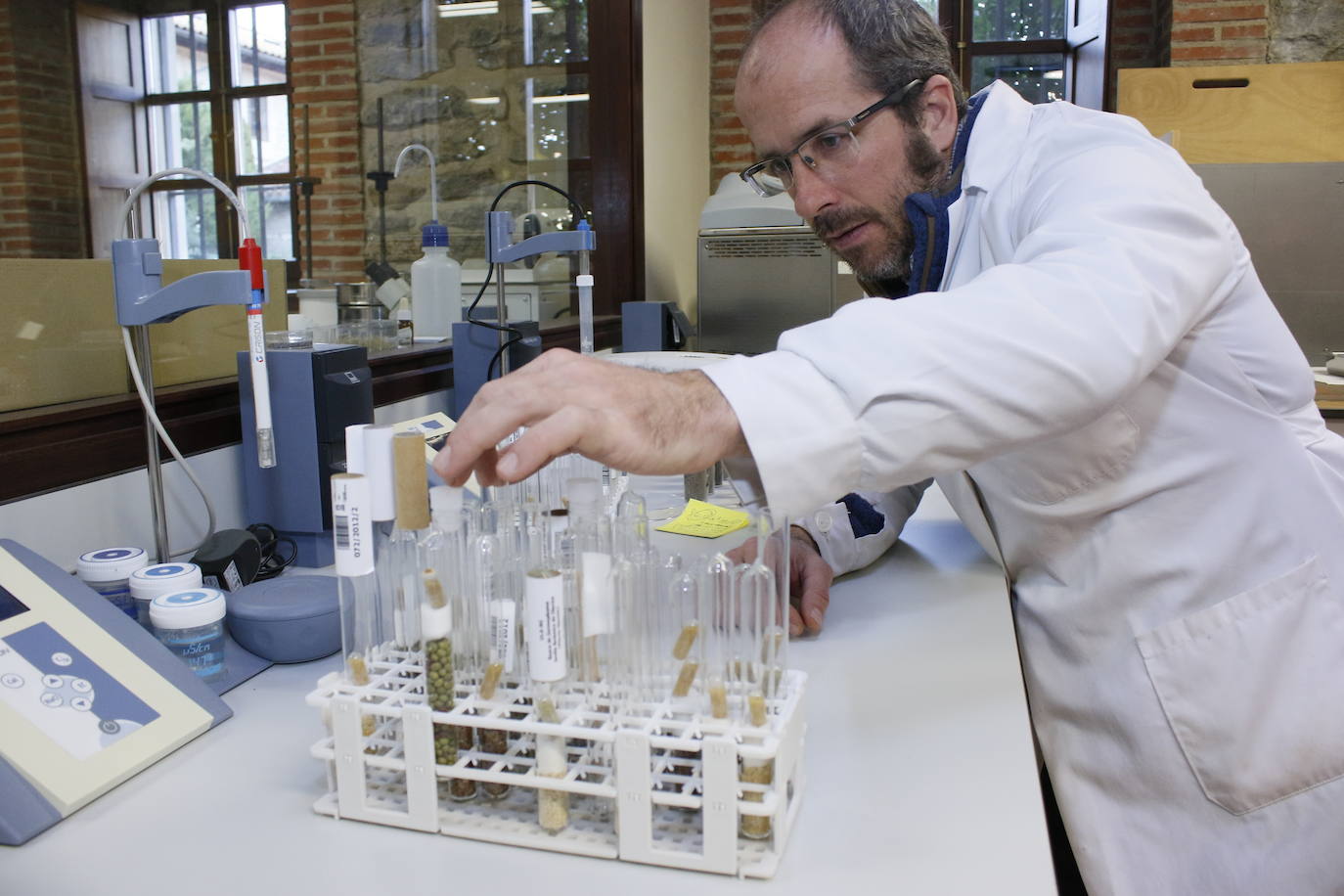 Antes de reposar en los tarros de la cámara, todas las semillas han pasado por el laboratorio para su puesta a punto.