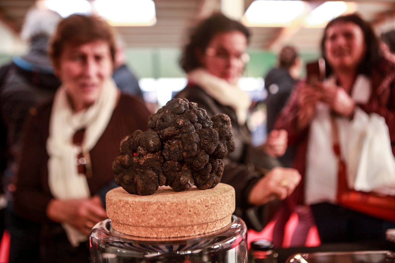 Fotos: Rivabellosa husmea la mejor trufa