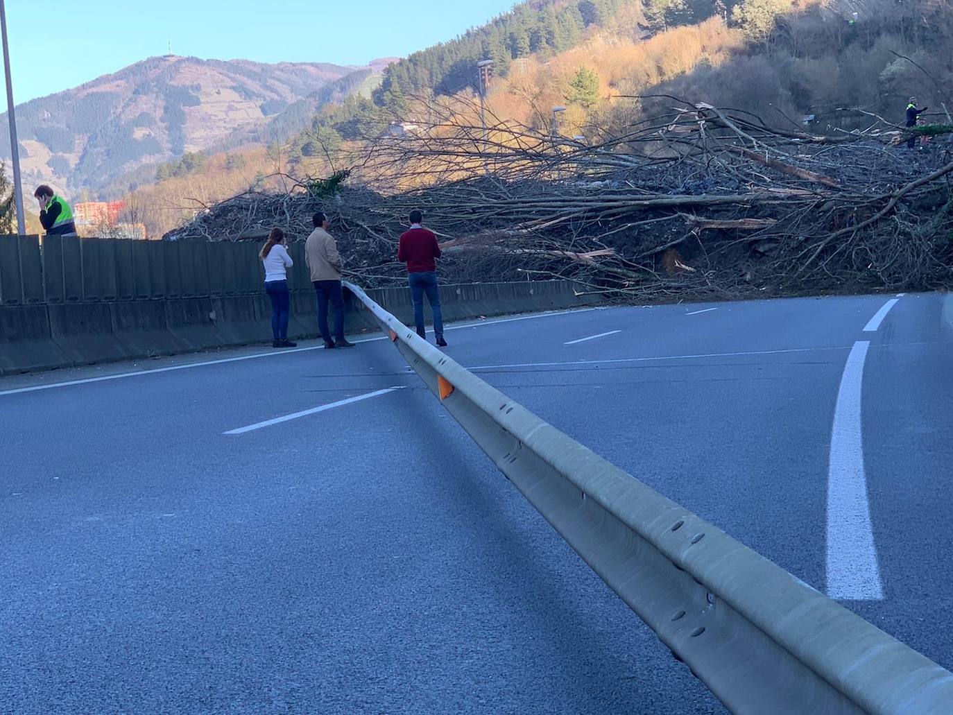 Fotos: Un desprendimiento de tierra corta la A-8 en Zaldibar