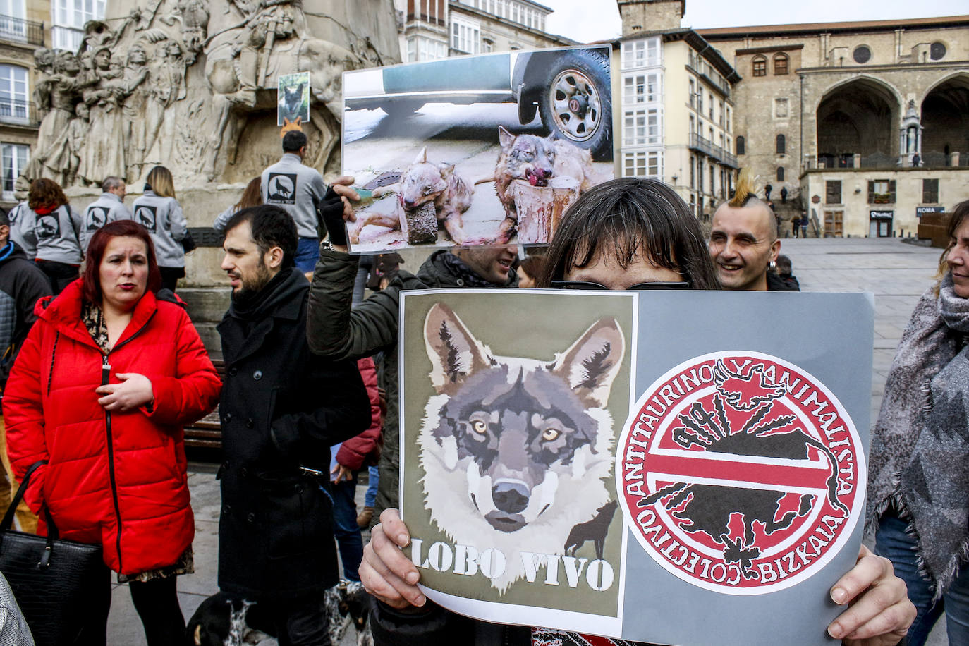 Fotos: El lobo no está sólo en Álava