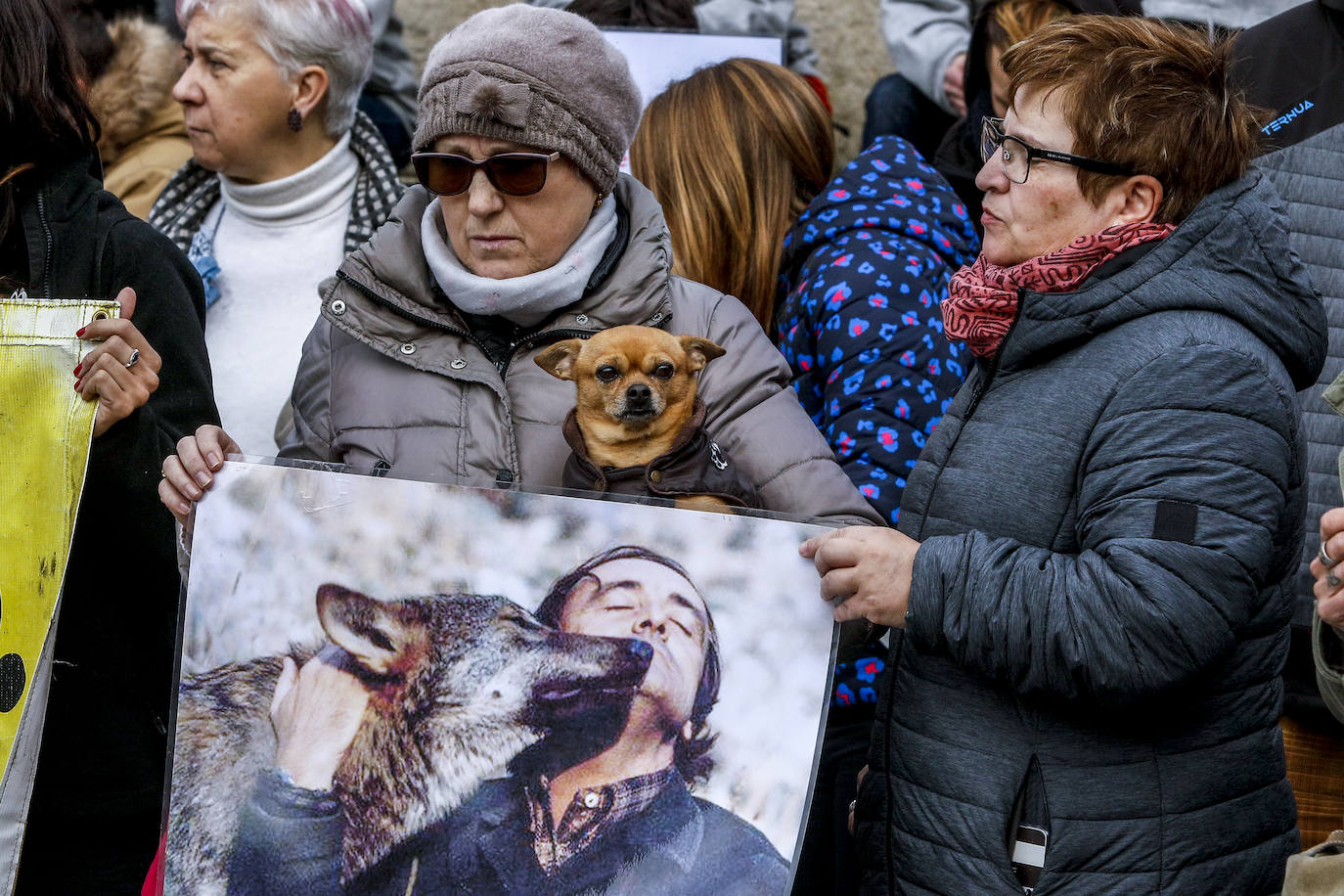 Fotos: El lobo no está sólo en Álava