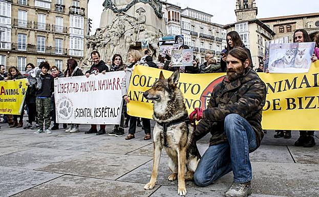 El lobo no está solo en Álava