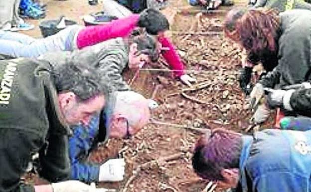 Labores de limpieza de los huesos, ayer en Abanto.