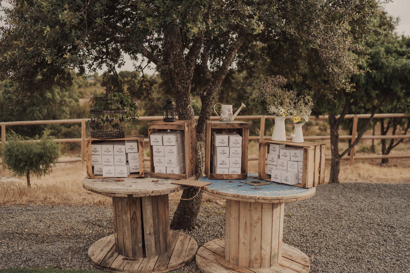 Fotos: Besos en Castro y boda en Madrid: la historia de amor de Esther y María bajo el prisma de un fotógrafo vizcaíno