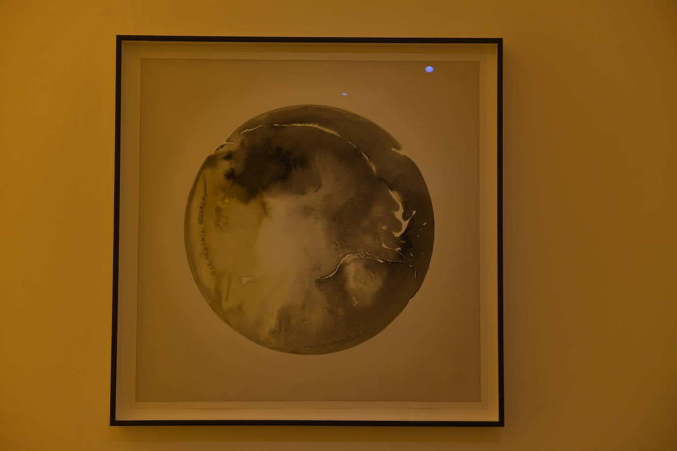 Fotos: Olafur Eliasson expone su obra en el Guggenheim