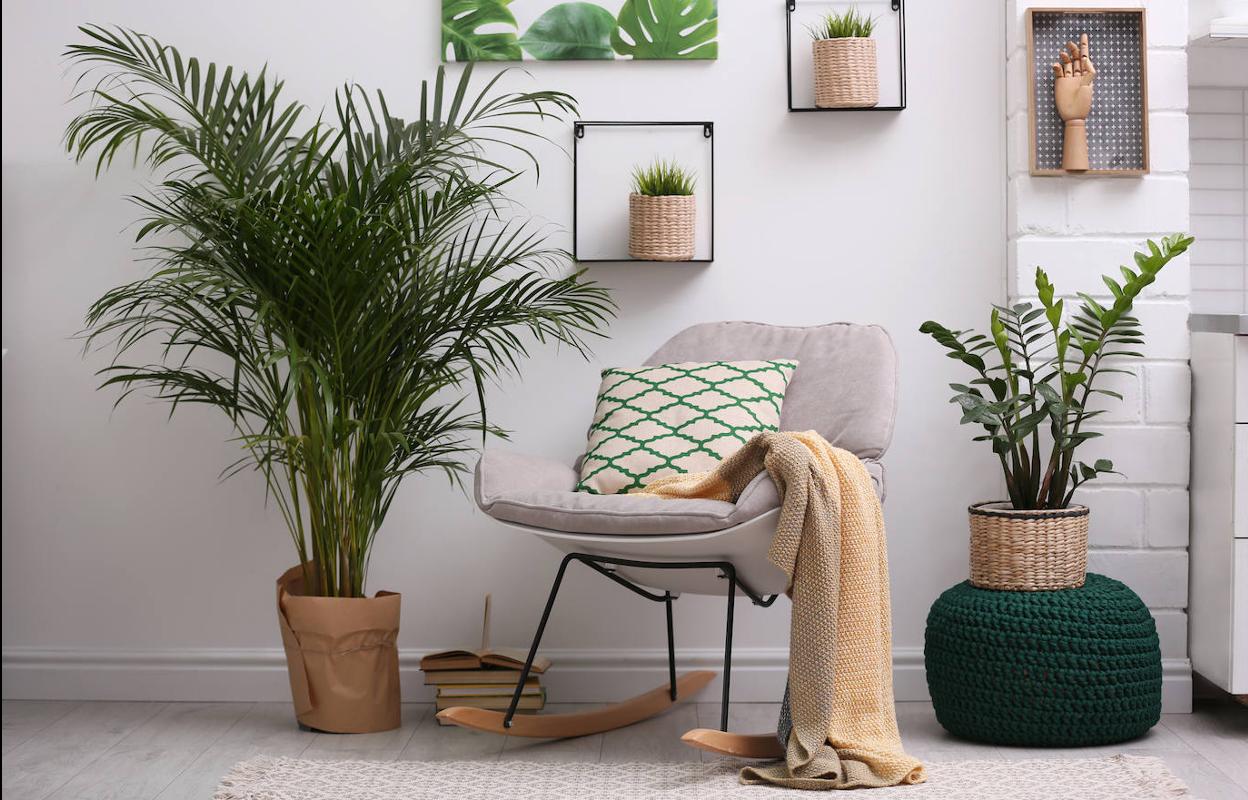 ¡Adiós trastos! Cómo ordenar en casa para ordenar tu mente (y ser más feliz)