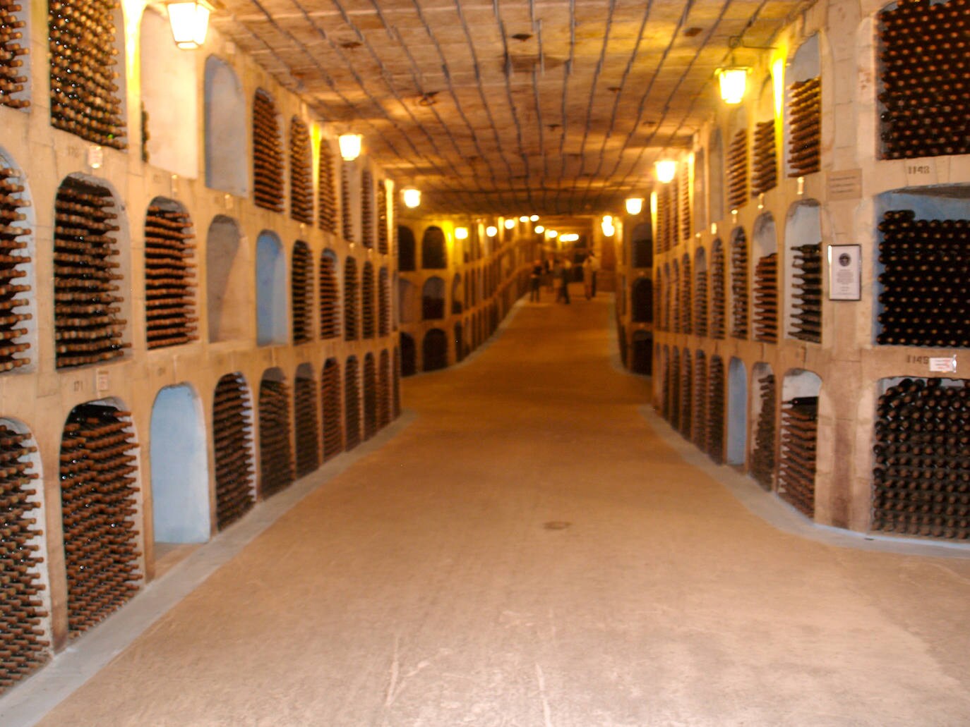 La bodega con la mayor colección de vinos se llama Milestii Mici y se encuentra en Moldavia. Alberga más de 1,5 millones de botellas distribuidas en más de 200 kilómetros de galerías subterráneas. La primera botella fue almacenada en 1968.