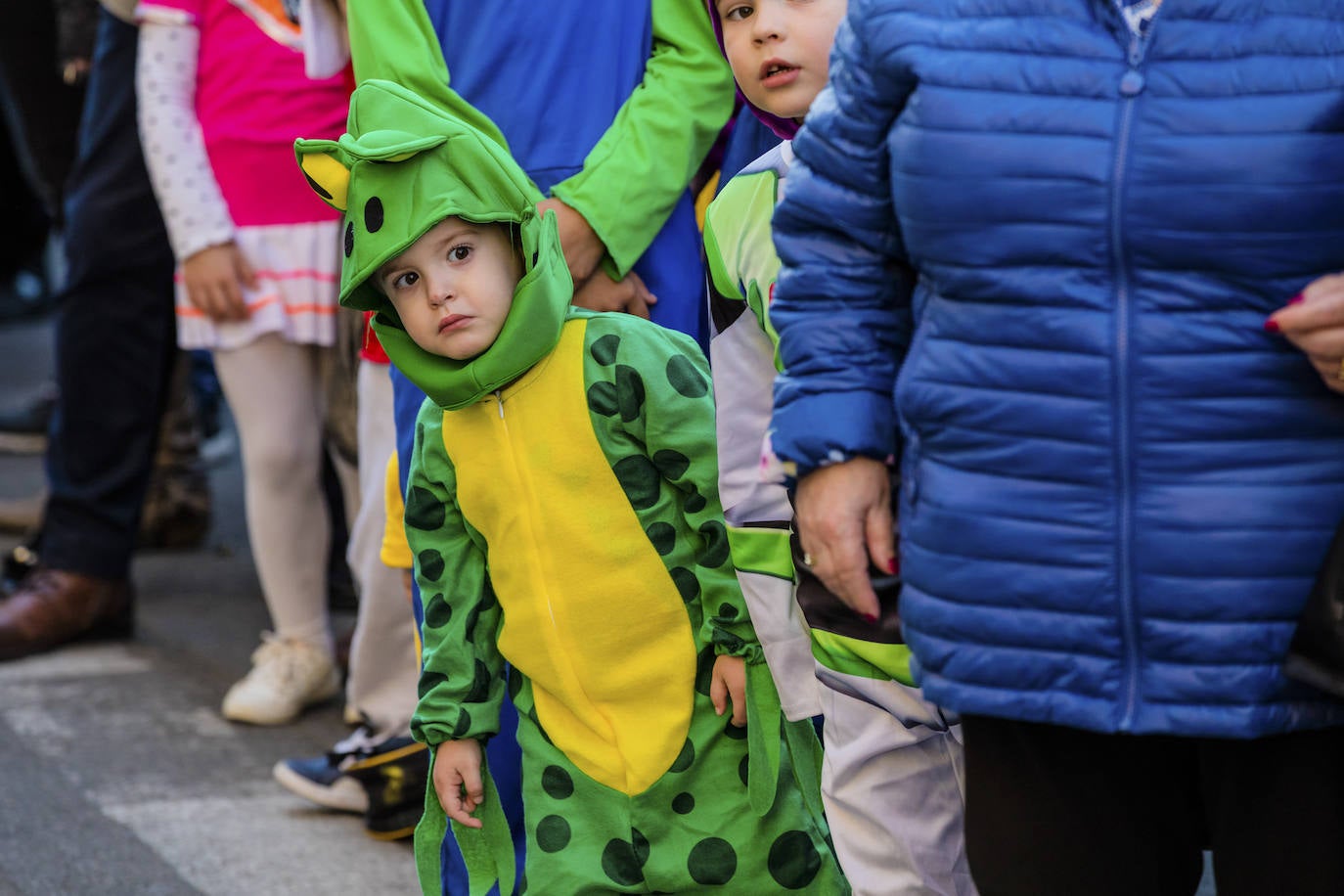 El desfile vitoriano, con 26 comparsas y 7162 personas, ha derrochado música, colorido y originalidad. 