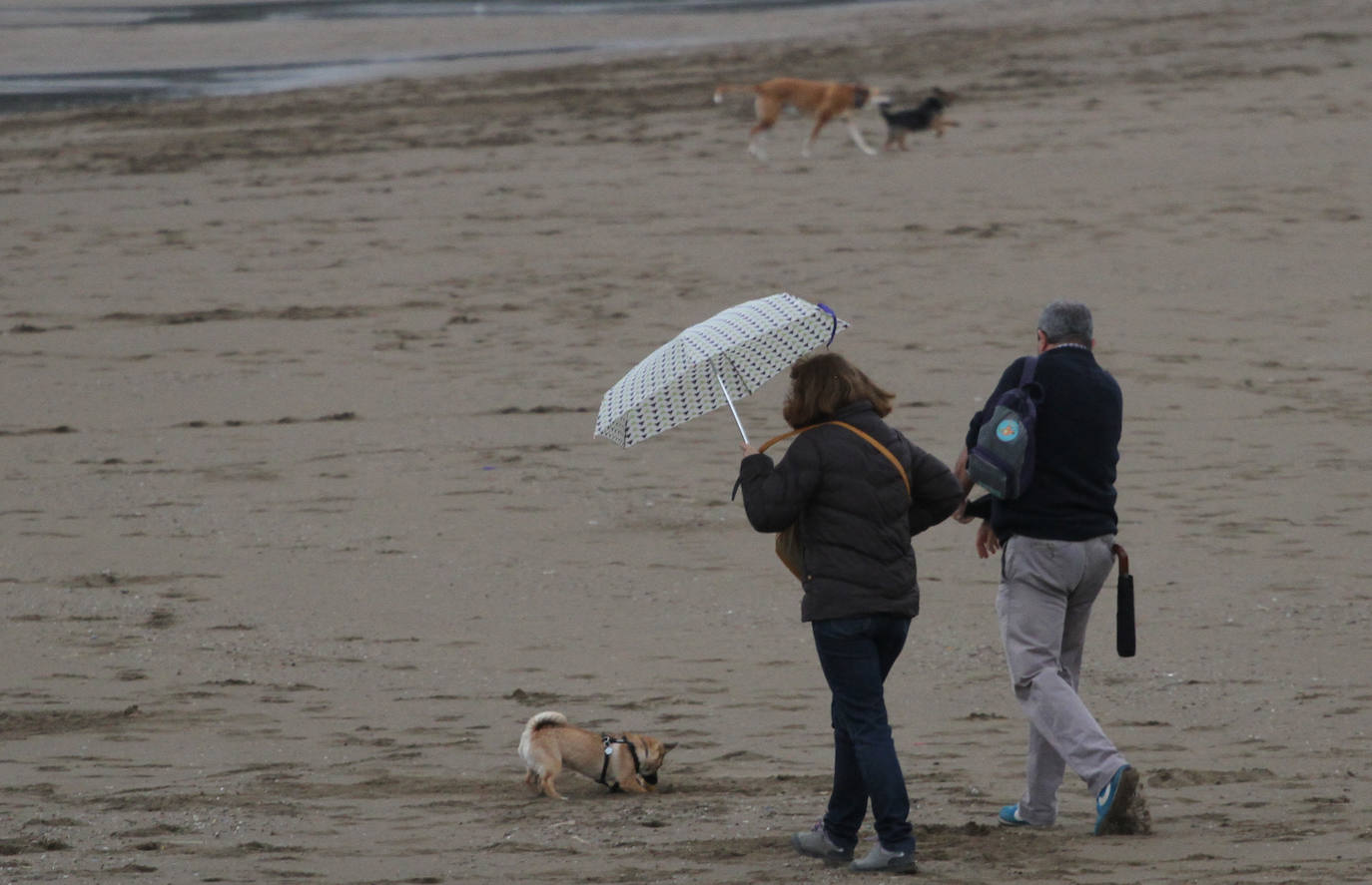 Los pocos valientes que salieron al paseo de Ereaga (Getxo) para dar un paseo sufrieron los fuertes vientos del temporal.