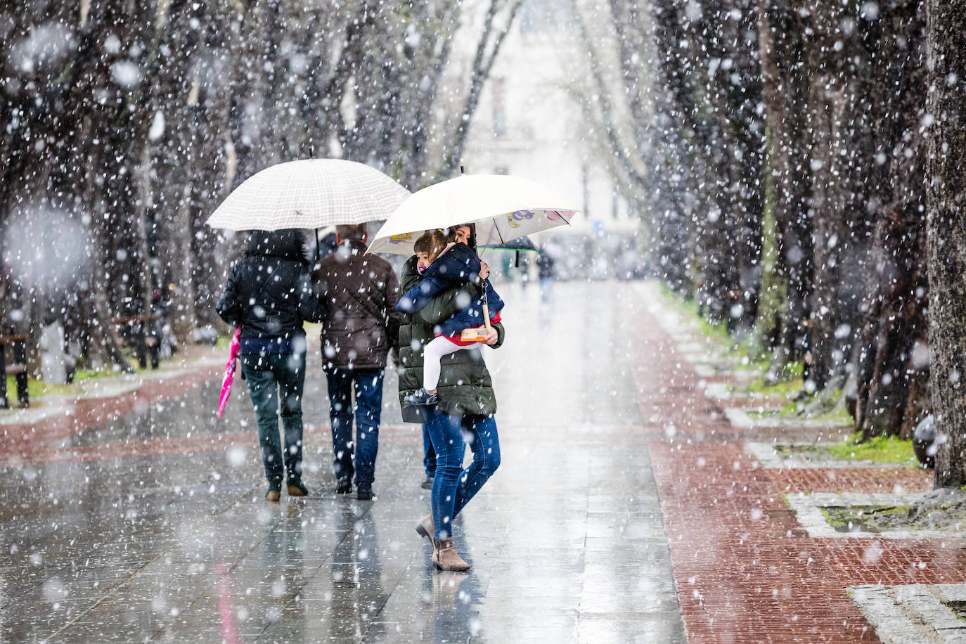 Fotos: La nieve vuelve a Álava