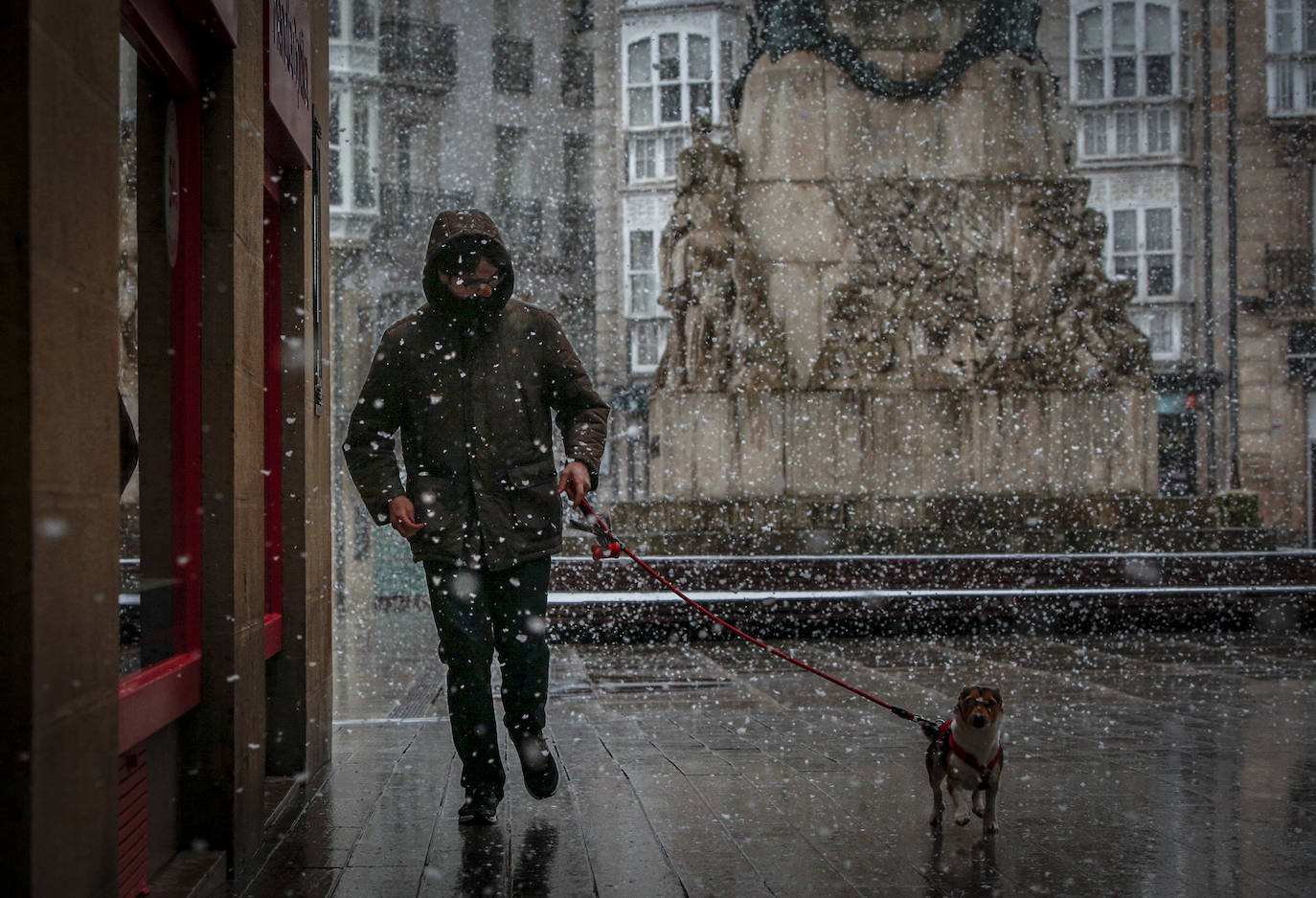 Fotos: Nieve en la Vitoria confinada