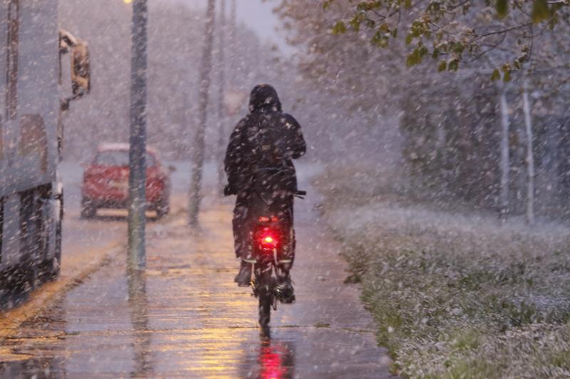 Fotos: Nieve en la Vitoria confinada