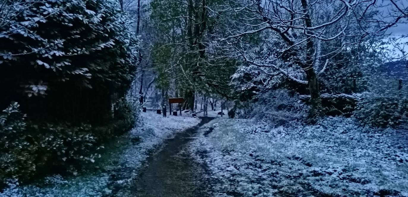 Fotos: Urkiola amanece cubierto de blanco