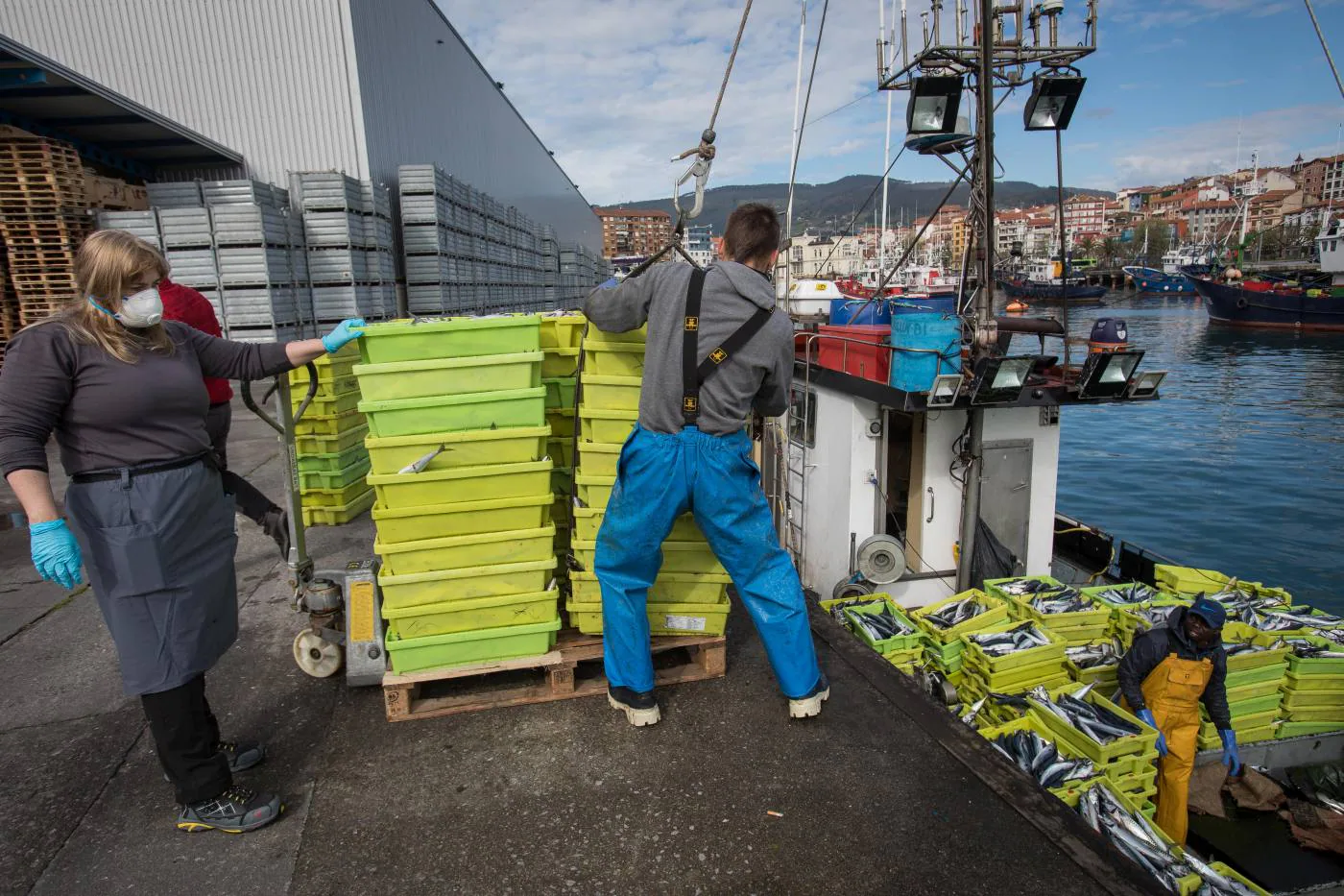 Fotos: La flota artesanal de Bermeo descarga 87 toneladas de verdel