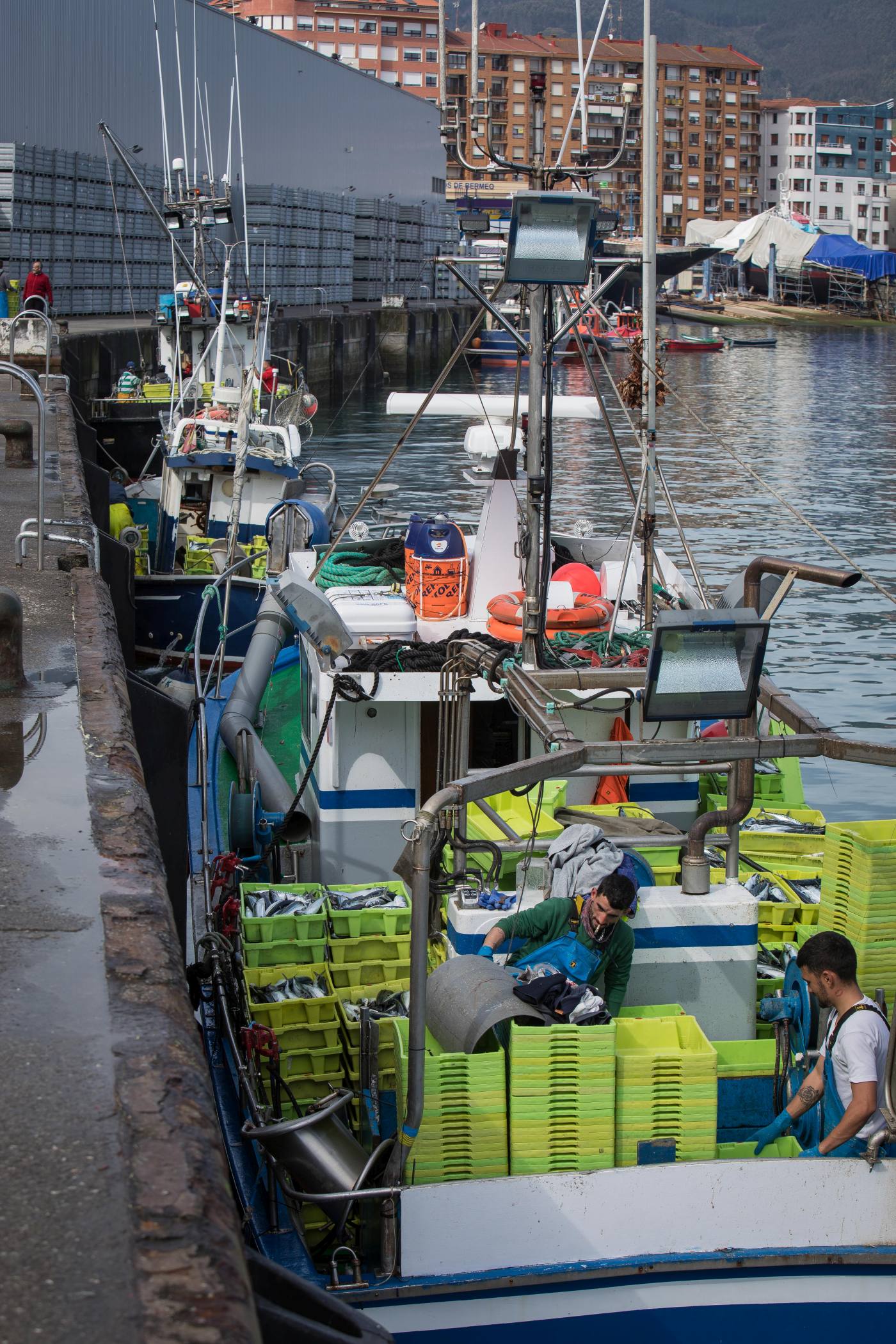 Fotos: La flota artesanal de Bermeo descarga 87 toneladas de verdel