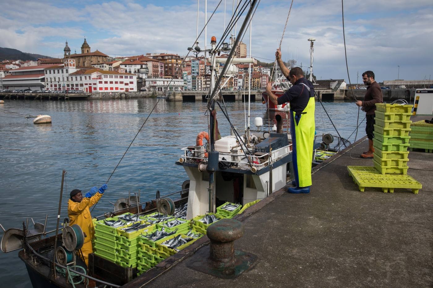 Fotos: La flota artesanal de Bermeo descarga 87 toneladas de verdel