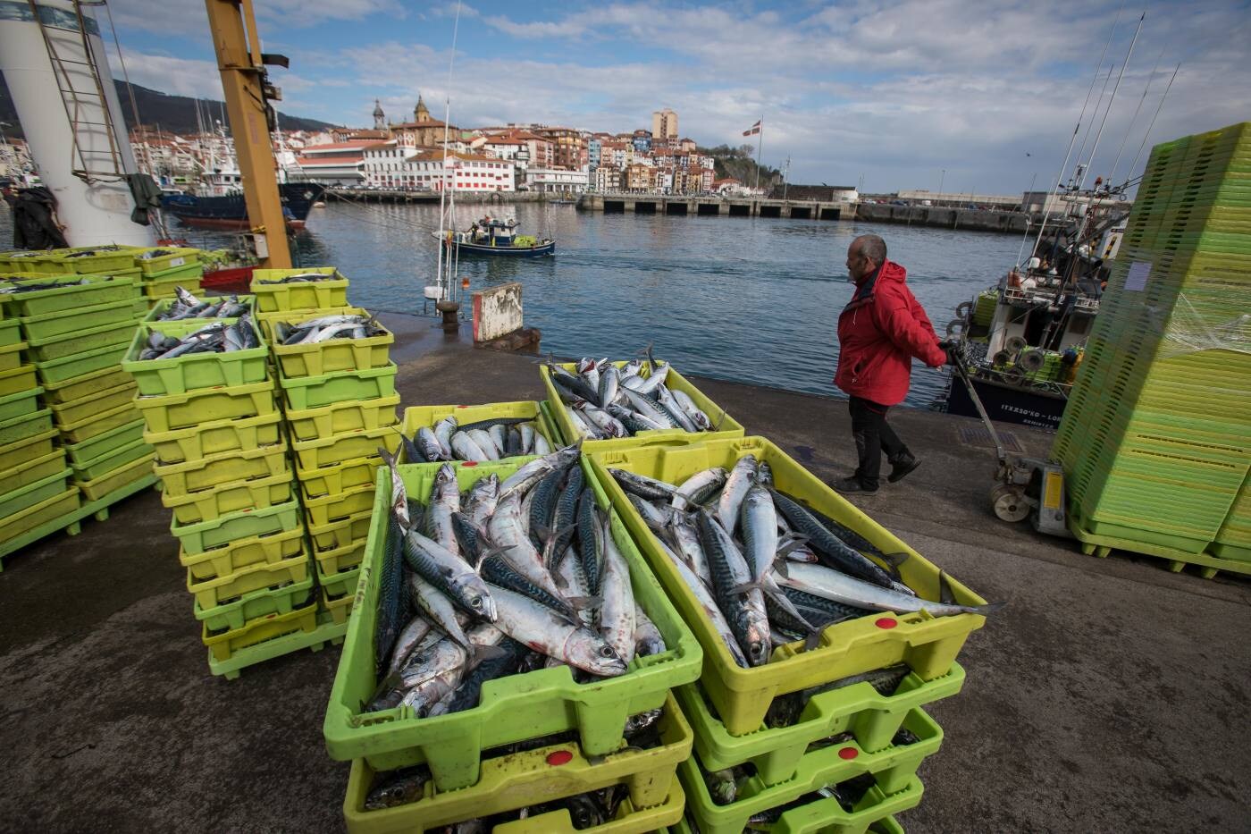 Fotos: La flota artesanal de Bermeo descarga 87 toneladas de verdel