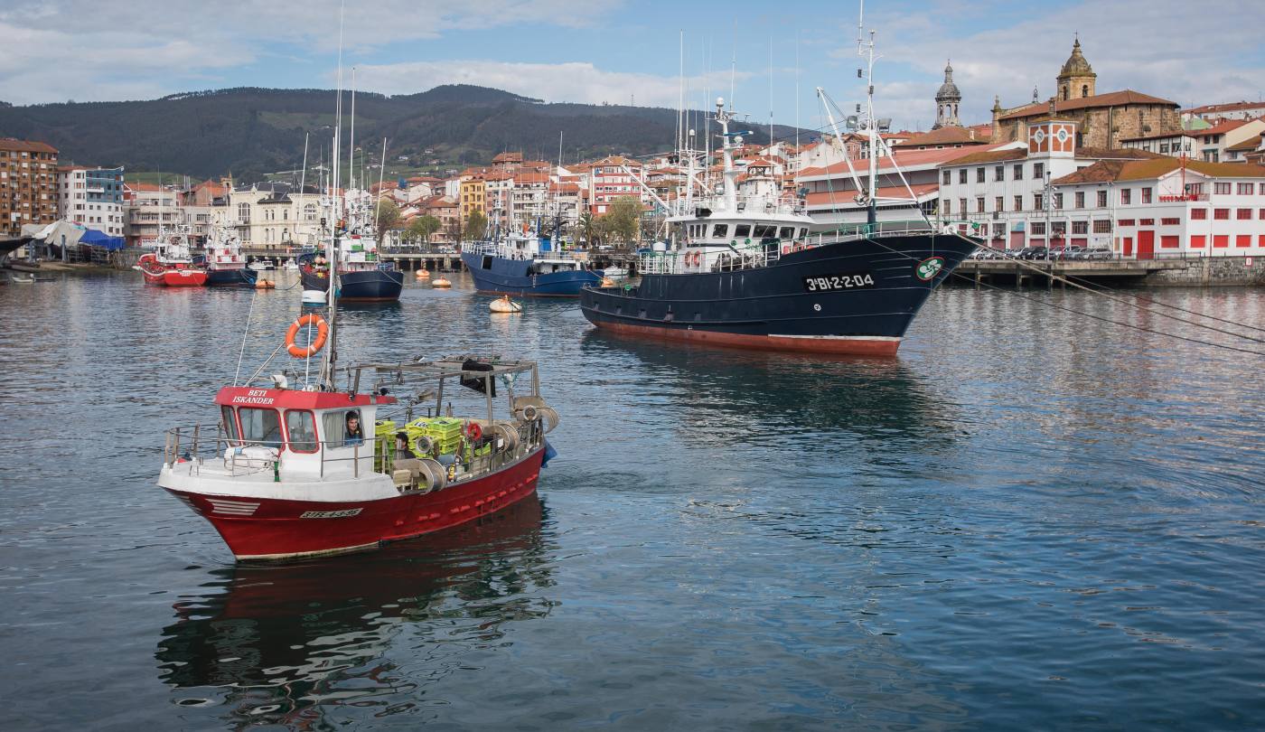 Fotos: La flota artesanal de Bermeo descarga 87 toneladas de verdel