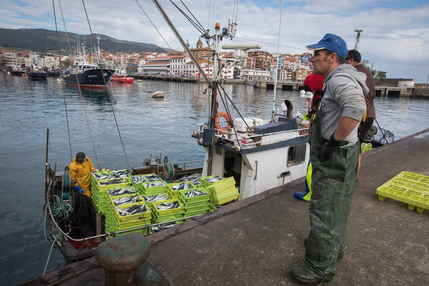 Fotos: La flota artesanal de Bermeo descarga 87 toneladas de verdel