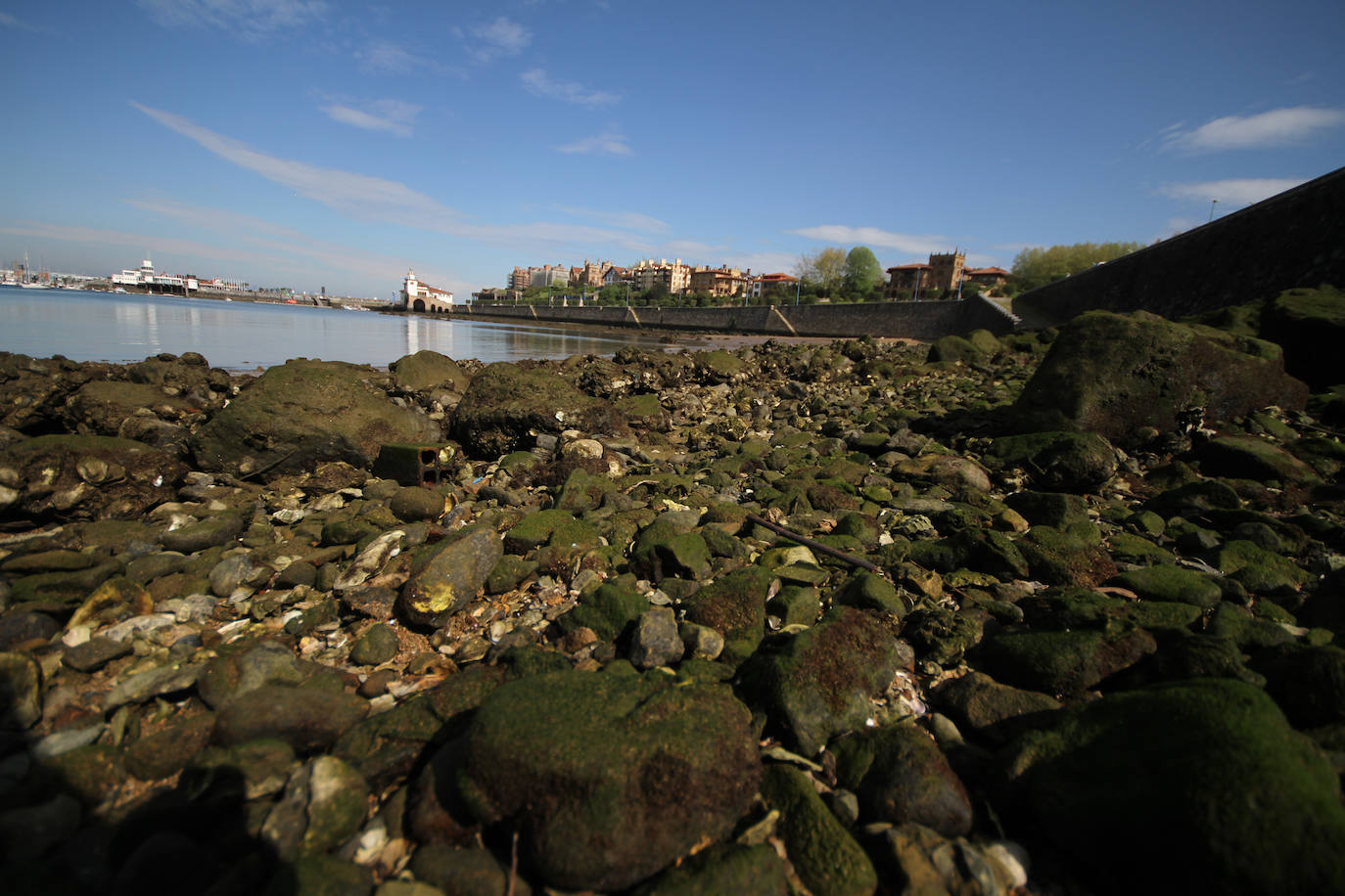 Fotos: Llegan las mareas vivas de primavera