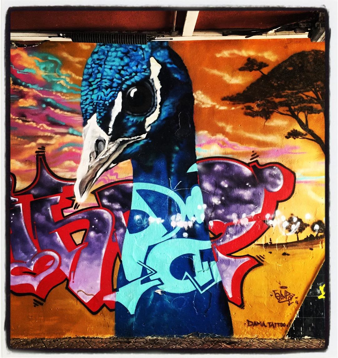 Además de los ciervos y los perros, los muros de Vitoria son el hábitat ideal para decenas de aves y pájaros. Esta pieza se encuentra en el barrio de Aranbizkarra.