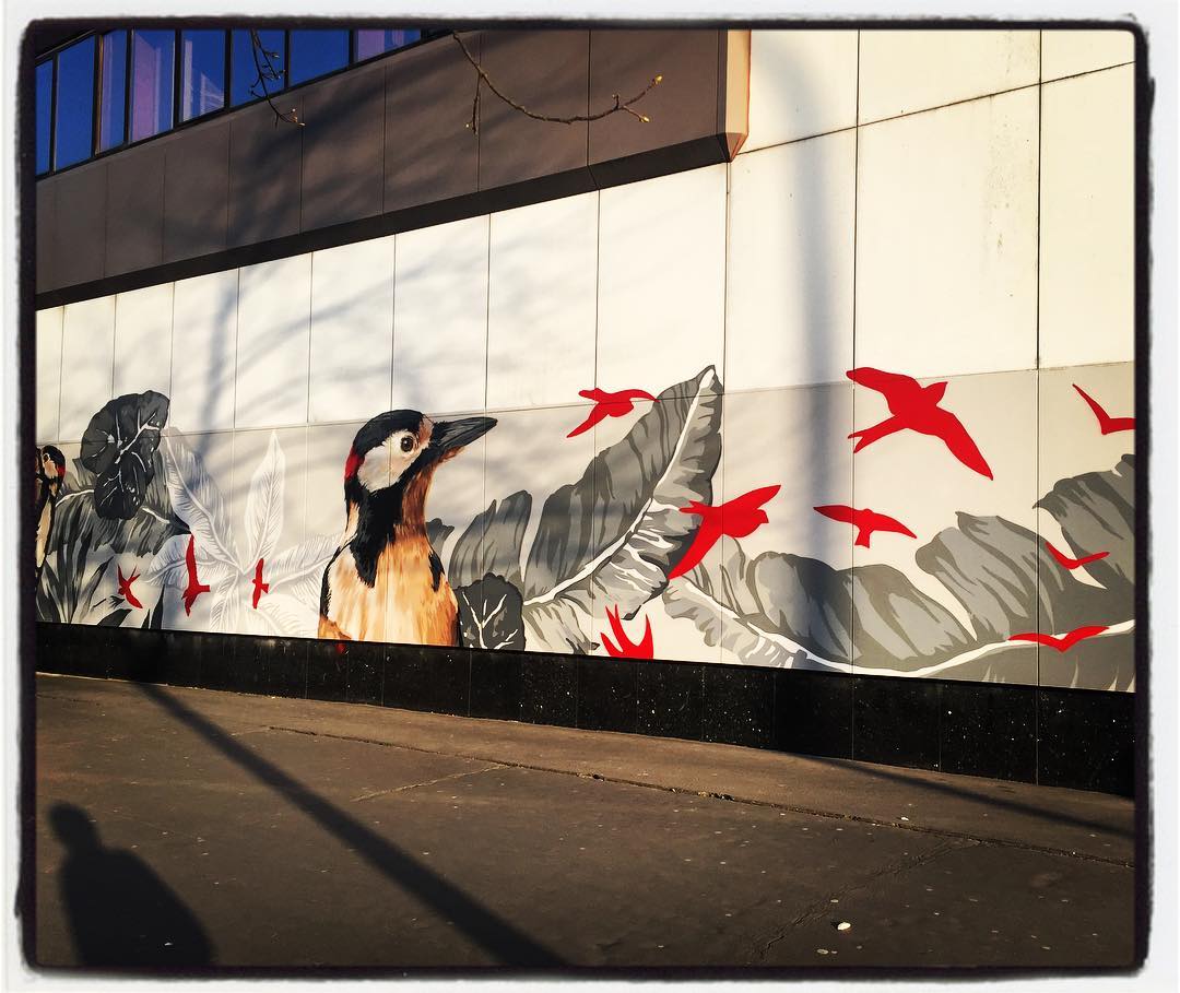 Si hablamos de arte en la calle donde la flora y la fauna sean protagonistas, sin duda, tenemos que hacer referencia al espectacular mural que decora parte de la fachada del centro comercial del barrio de Ariznabarra. Esta alegría para los ojos lleva la firma de la artista Eva Mena. Es toda una muestra de biodiversidad. ¡No se lo pierdan! Es simplemente espectacular.