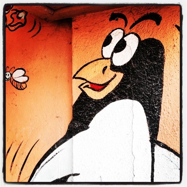 El pingüino, ave marina no voladora, mira con curiosidad a su compañera de pared.