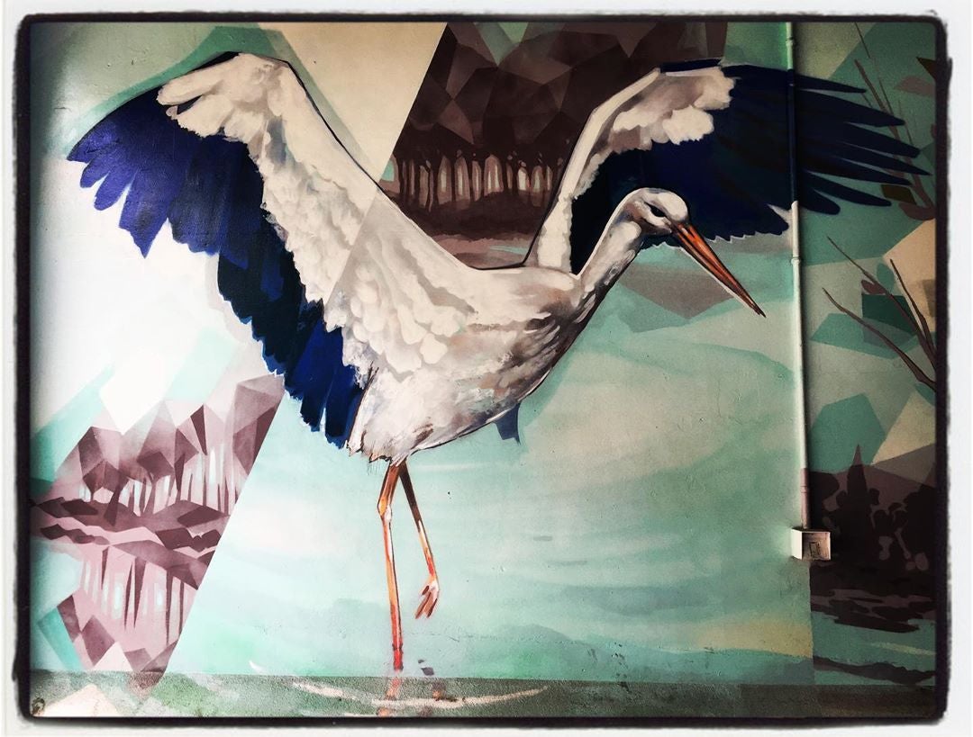 La cigüeña, un ave migratoria zancuda, con largo cuello, alas negras y patas largas y rojas, lo mismo que su pico, no sólo anida en torres y árboles de Vitoria. También lo hace en muros como los que adornan este garaje.