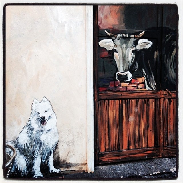 En el barrio vitoriano de Judimendi se pueden disfrutar en muchos comercios y bares los trabajos realizados por Pakiyo. En este caso, una vaca y un perro parecen estar observando curiosos al improvisado fotógrafo desde la fachada trasera de un popular bar de la calle Benito Guinea.