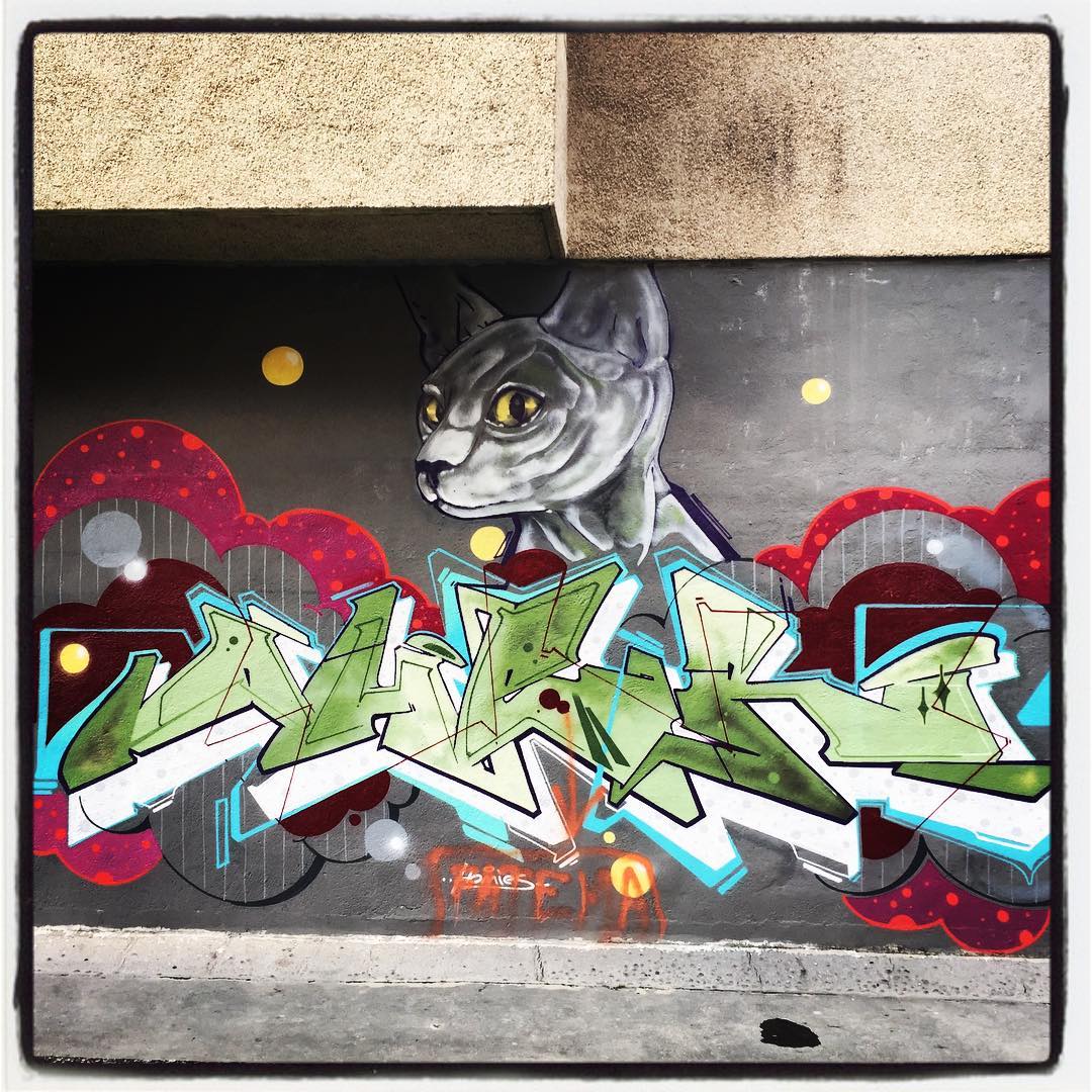 Los felinos también han encontrado su hueco en el ecosistema que forman los muros pintados de Vitoria. En esta ocasión, podemos apreciar esta suerte de gato esfinge, cuya característica más llamativa es la aparente ausencia de pelaje y su aspecto esbelto.