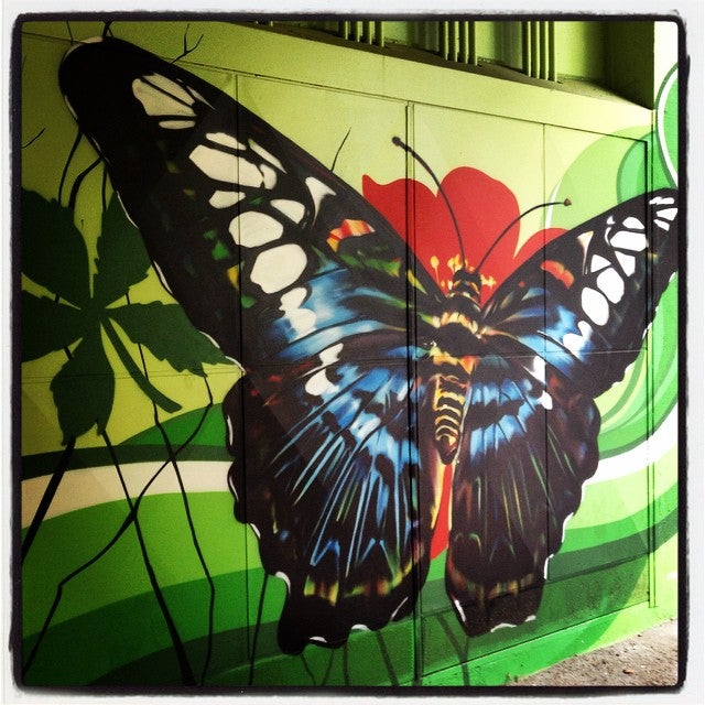 Numerosas comunidades de propietarios del barrio de San Martín y de otros distritos de la capital alavesa recurren a artistas para llenar de vida y color las entradas de sus garajes. En la imagen, podemos disfrutar de este colorista diseño creado por Eva Mena para un aparcamiento comunitario situado en la calle Abendaño.