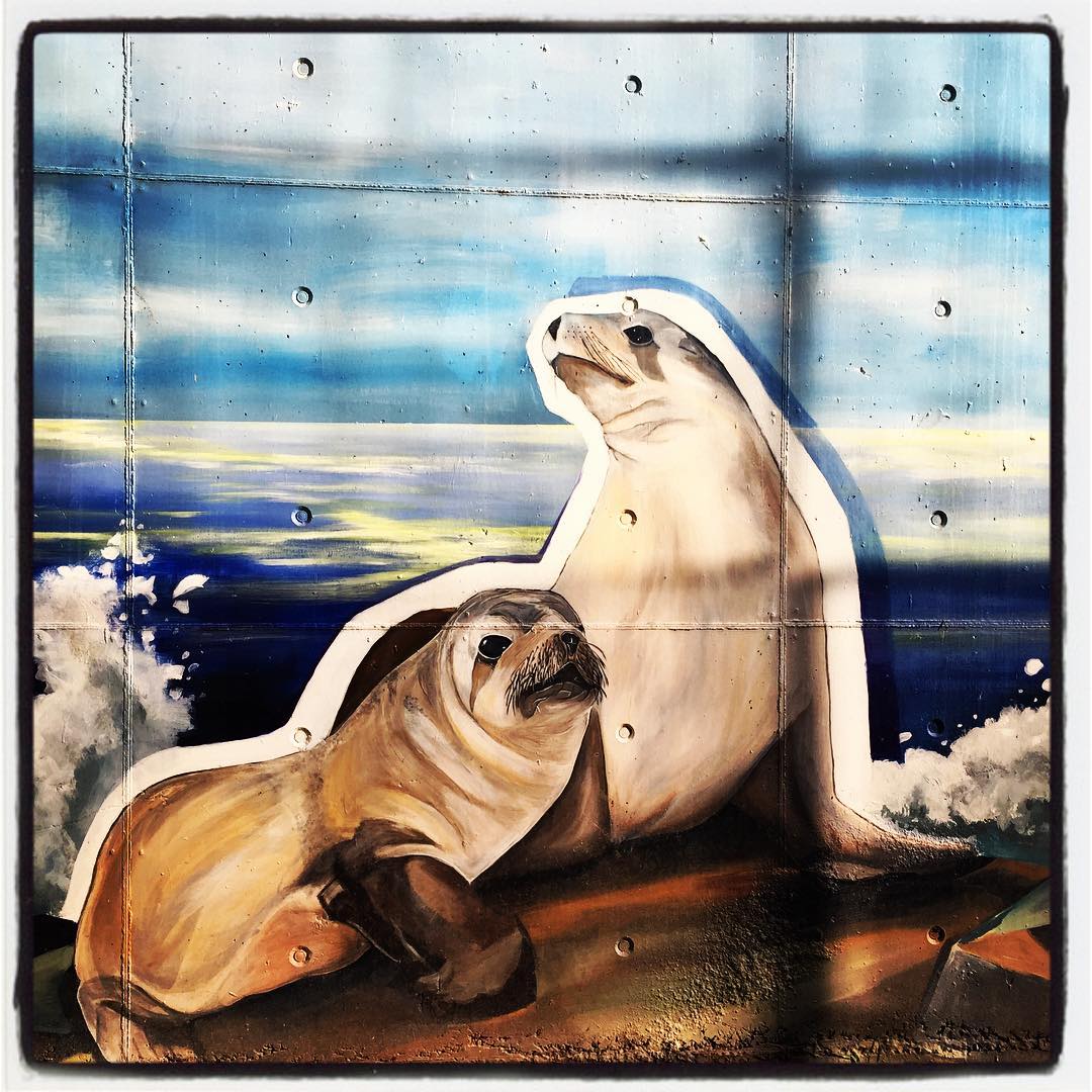 Es el único mural de los que conforman el itinerario muralístico pintado sobre las paredes de un centro cívico de la capital alavesa; en este caso, el de Aldabe. Eso sí, está un poco escondido; ya que para verlo hay que bajar por la rampa a la zona exterior de las piscinas y el teatro del equipamiento. Este curioso 'collage' combina nuestra esencia natural, el agua como medio; y nuestra esencia imaginaria; el arte. Pintado en 2011, entre su iconografía destacan una lamia, una sirena, animales en peligro de extinción, flora marina y formas abstractas. Frente a la entrada al teatro se prolonga este concepto, pero relacionado con el arte.