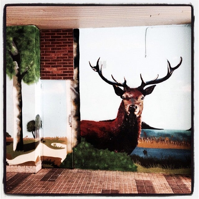 En los soportales que conectan la avenida Santiago con la plaza Simón Bolívar nos encontramos con este espectacular, y realista, ejemplar de ciervo.