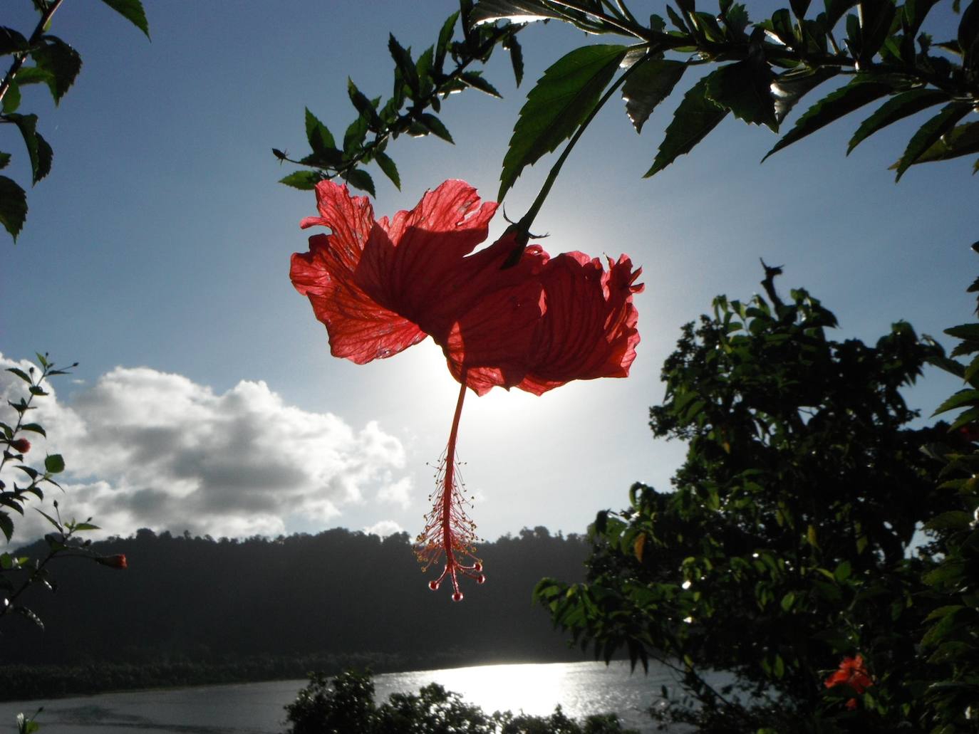 Islas Salomón | Las Islas Salomón​ son un país insular independiente situado en Oceanía, en la Melanesia tradicional. Forma parte de la Mancomunidad Británica de Naciones. Cuenta con 650.000 habitantes. 