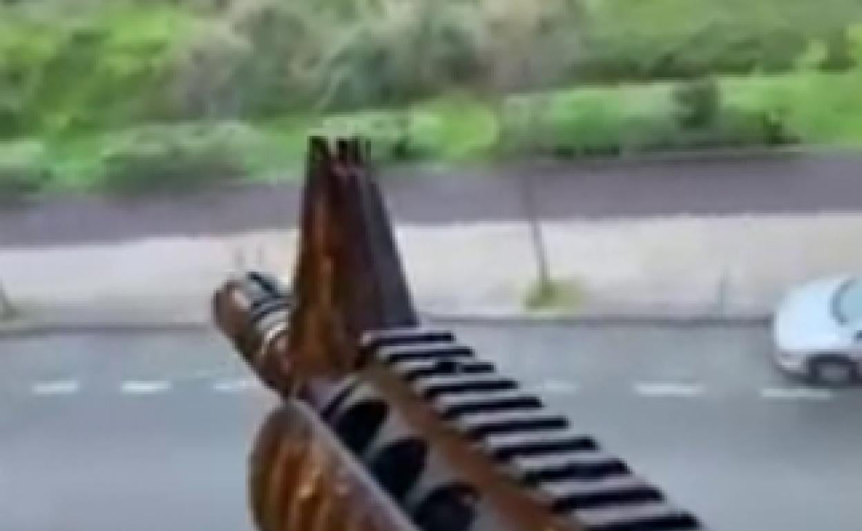 Una de las imágenes del vídeo.