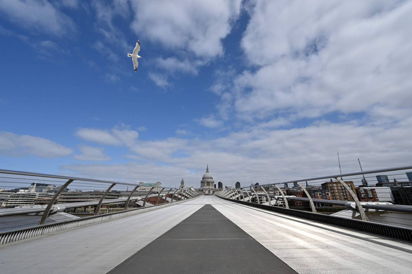 Una gaviota vuela sobre el puente del Milenio cerca de la Catedral de San Pablo en Londres.