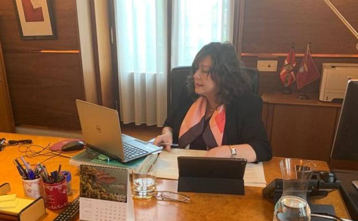 La diputada de Hacienda, Itziar Gonzalo, durante la comparecencia telemática.