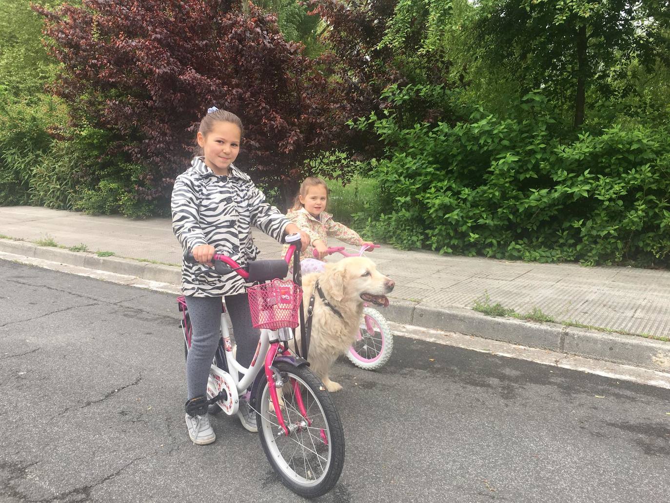 Fotos: Más de 48.000 niños alaveses ya pueden salir a la calle