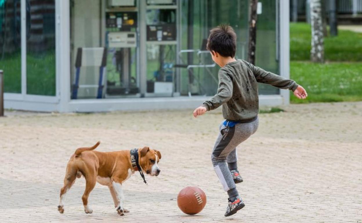 Así han vivido los más pequeños su primera hora fuera de casa