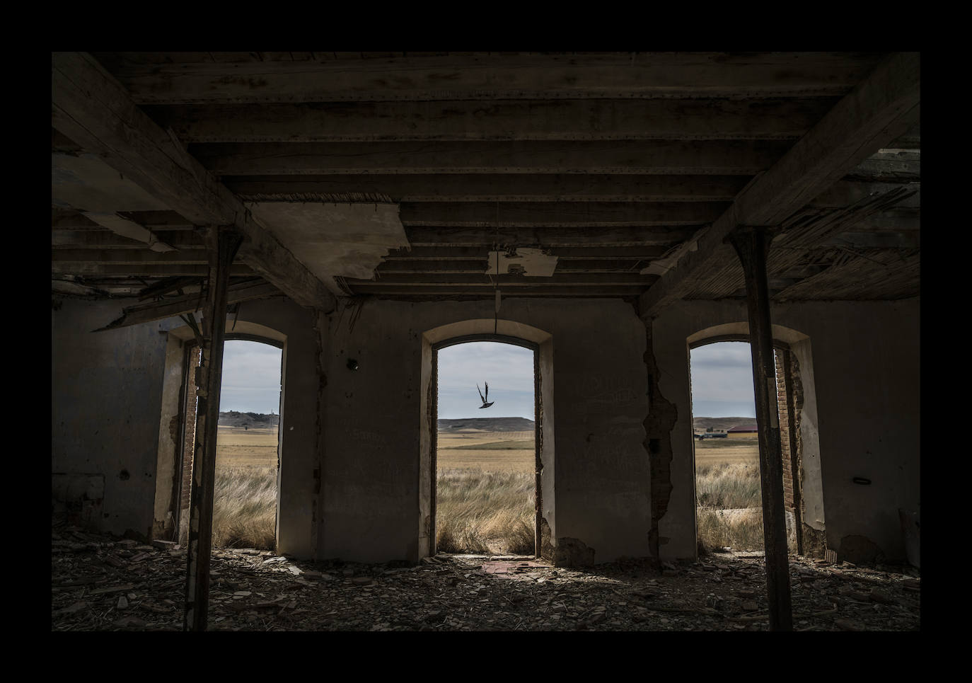 Villamartín de Campos. Y sí, Tierra de Campos es otro ejemplo de lo que se viene en llamar la España despoblada, salpicada de almacenes, fincas y apeaderos a los que la modernidad ha pasado por encima. En la imagen,una torcaz emprende el vuelo tras haber encontrado refugio en las vigas de un edificio en ruinas.