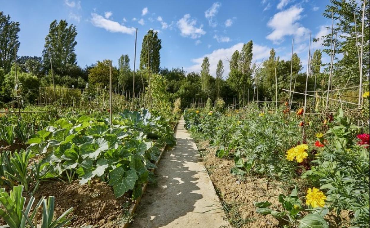 Los huertos ecológicos de Urarte, Zabalortu y Lakuakolor se abren el lunes