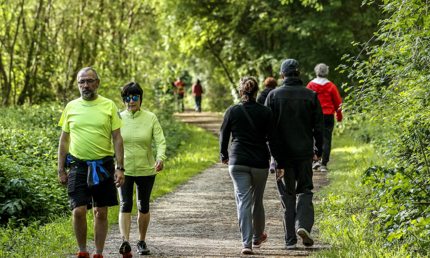 Fotos: Paseos y deporte al sol en Vitoria en el primer primer domingo de desescalada
